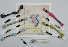 Load image into Gallery viewer, Needlepoint Kits